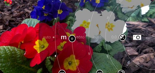 Portada Foto Macro Lumia