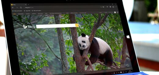 Imagen del día del buscador de Bing en una Surface Pro 3