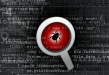 Lupa mostrando una cucaracha dentro del código