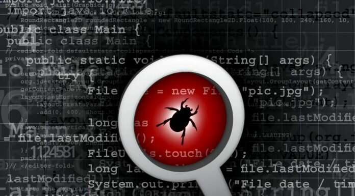 Lupa mostrando una cucaracha dentro del código