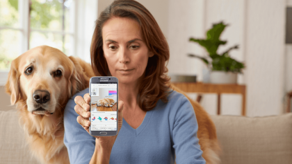 Esta IA de Samsung revisa la salud de tu mascota con una foto