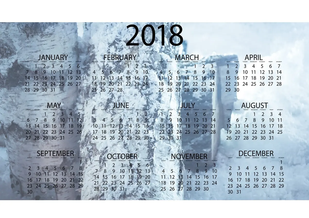 Calendario de tiempo de pantalla que diferencia estudio y ocio