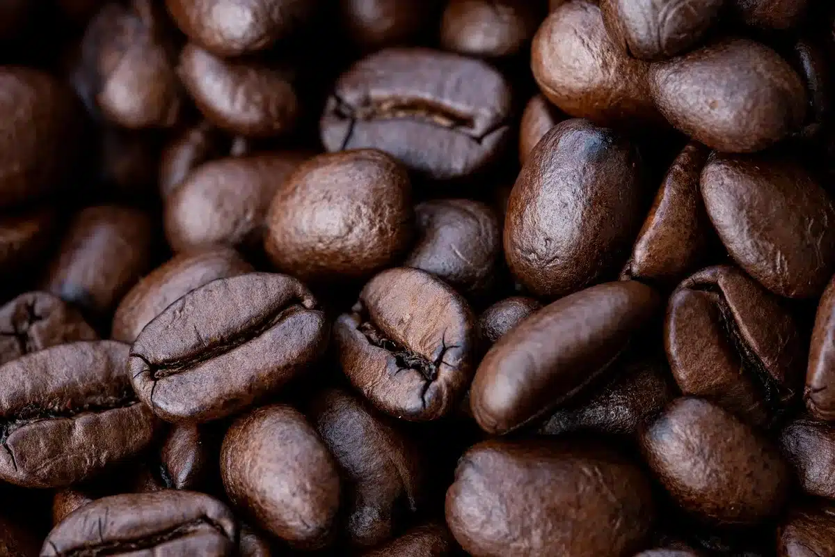 Close-up of a sealed bean hopper and a ceramic burr grinder inside an automatic coffee machine, no brand visible