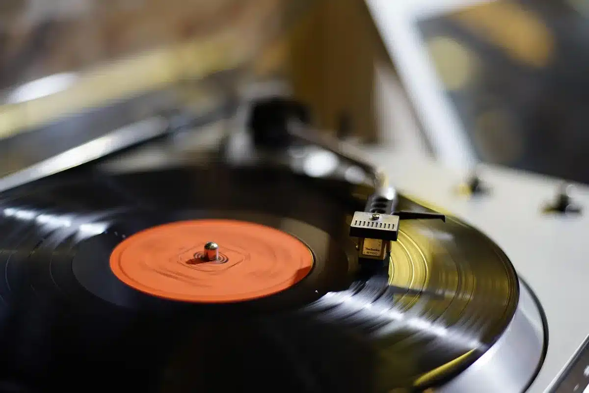 Estanter&iacute;a con vinilos y libros de tapa dura que ilustran el gusto por lo f&iacute;sico